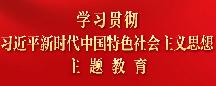 学习贯彻习近平新时代中国特色社会主义思想主题教育